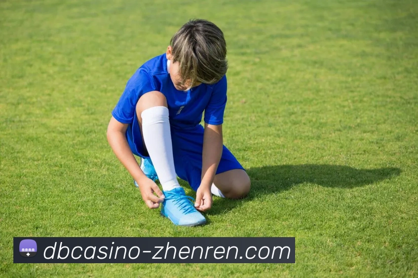 DB真人服务体系